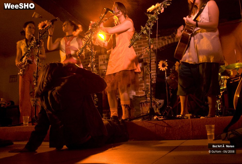 28/35 photos du spectacle Baz'Art à Nanas